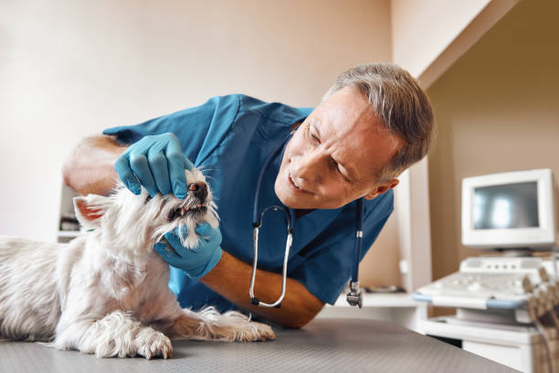 Best Emergency Tooth Extraction in Dadeville, AL